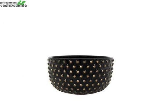 Schaal Bolino D20h11cm Shiny Zwart