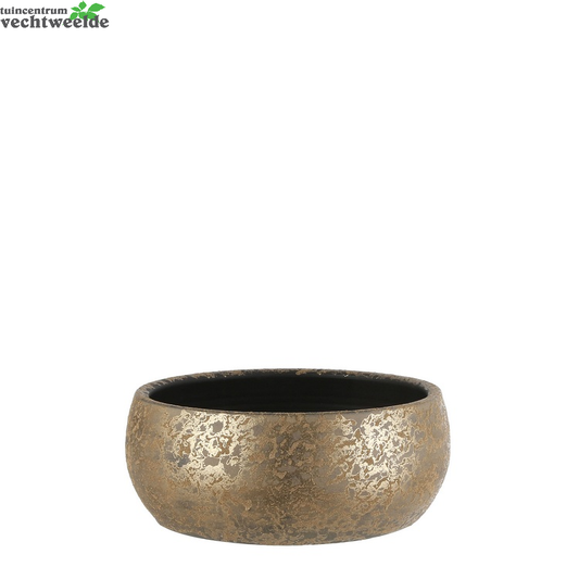  Schaal Clemente D37h15cm Goud - Mica