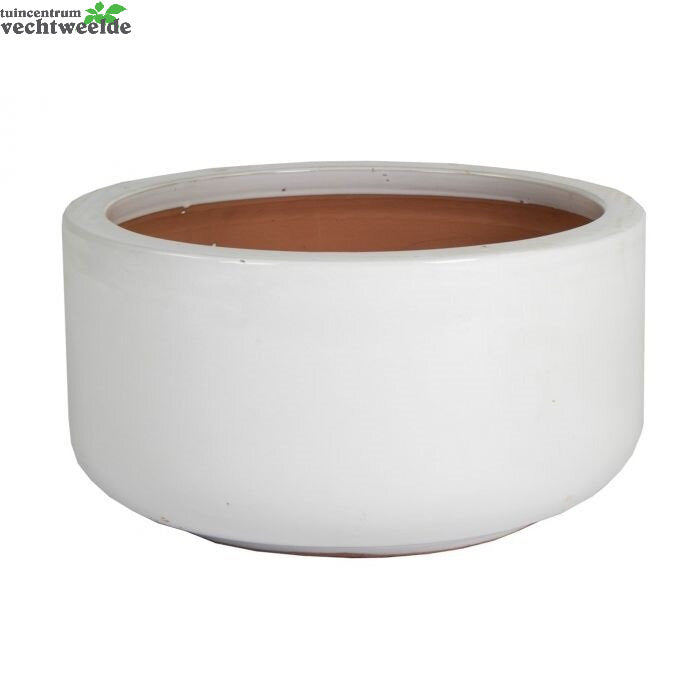  Schaal Glazed D31 - H15cm Wit