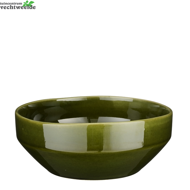  Schaal Rhea D22.5h9cm Groen