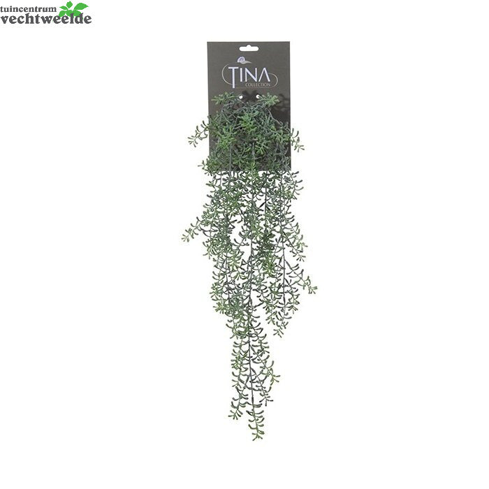  Senecio Hanger L70cm Grijs/groen Hanger (Zijde-plant)