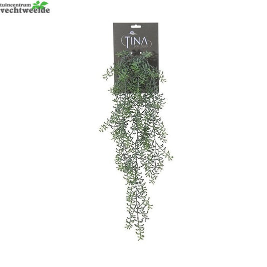  Senecio Hanger L70cm Grijs/groen Hanger (Zijde-plant)