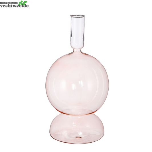  Singleflower Nisa D13h25cm Roze