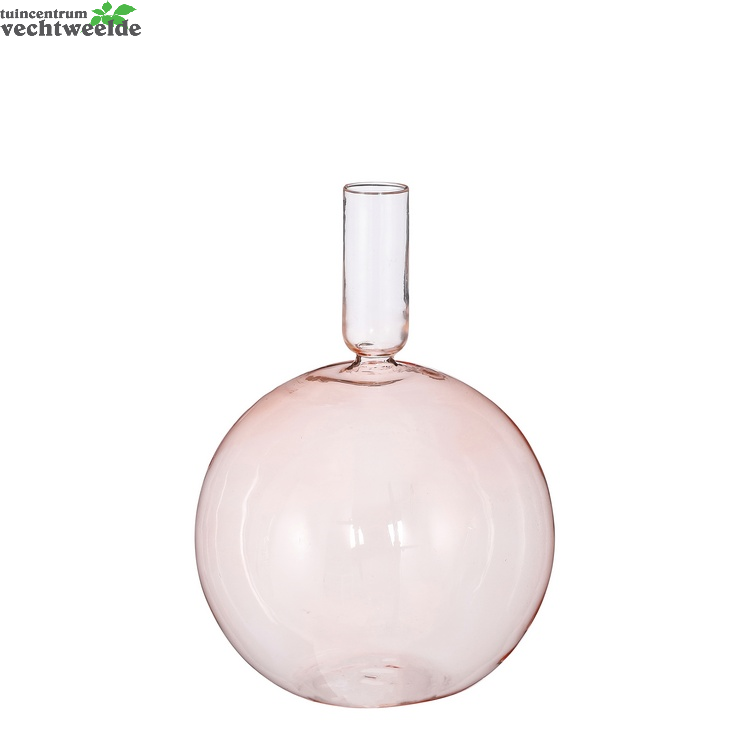  Singleflower Nisa D15h21cm Roze