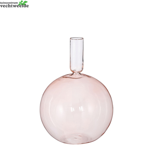  Singleflower Nisa D15h21cm Roze