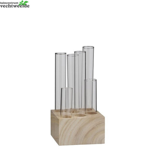  Singleflwr Louise L10h20cm Trnsprnt