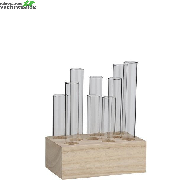  Singleflwr Louise L16h20cm Trnsprnt