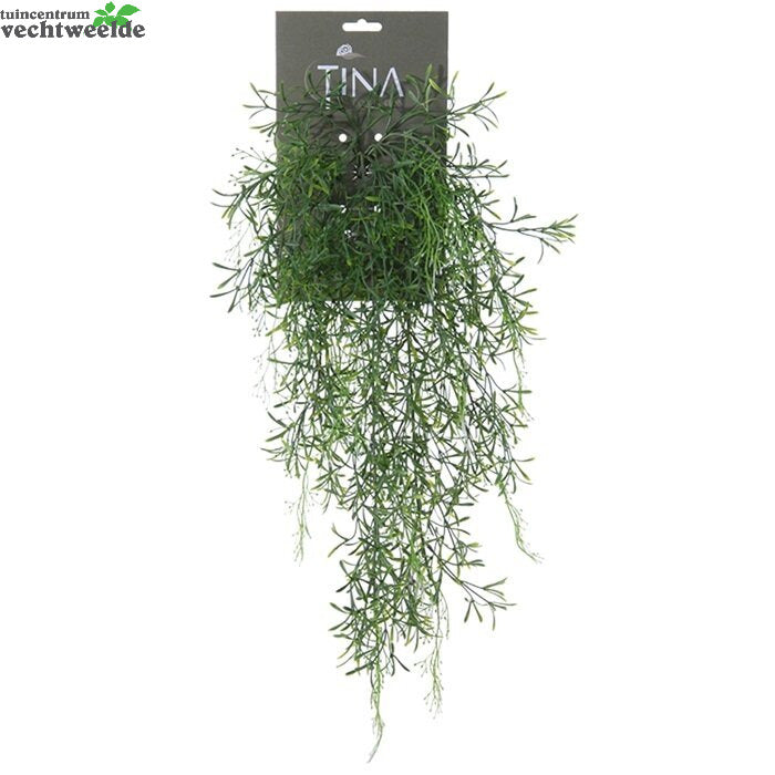  Springeri Hanger L56cm Groen/wit Hanger (Zijde-plant)