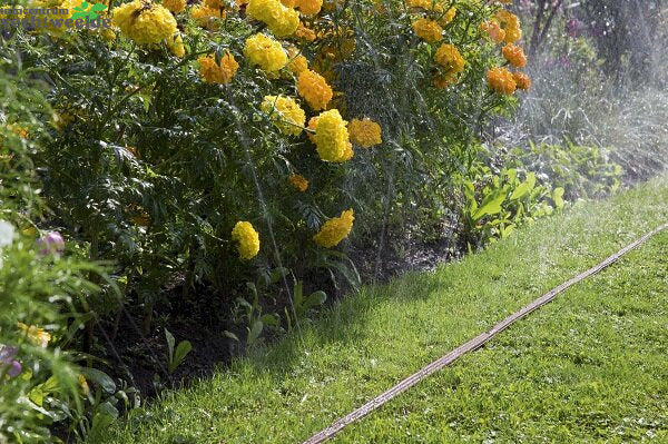 Gardena Sproeislang 15m Bruin