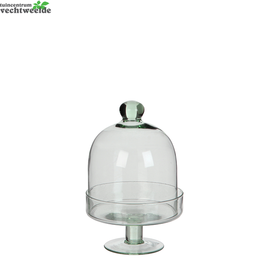  Stolp Diny D14.50h22.50cm Transp