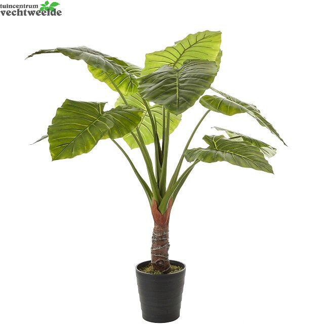  Taro In Pot D110h130cm Groen (Zijde-plant)