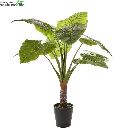  Taro In Pot D110h130cm Groen (Zijde-plant)
