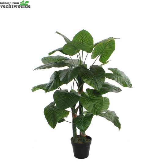  Taro In Pot H120d60cm Groen (Zijde-plant)