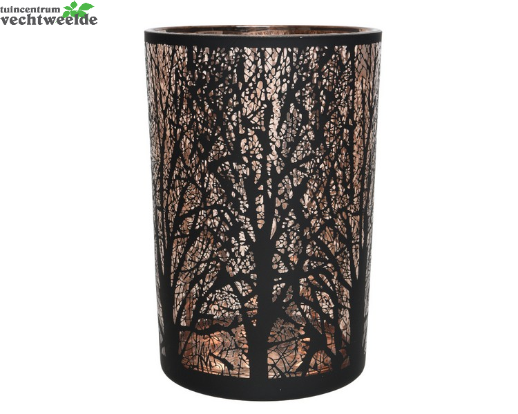 Decoris Theel.glas Laser Boom D12h18cm Zwrt