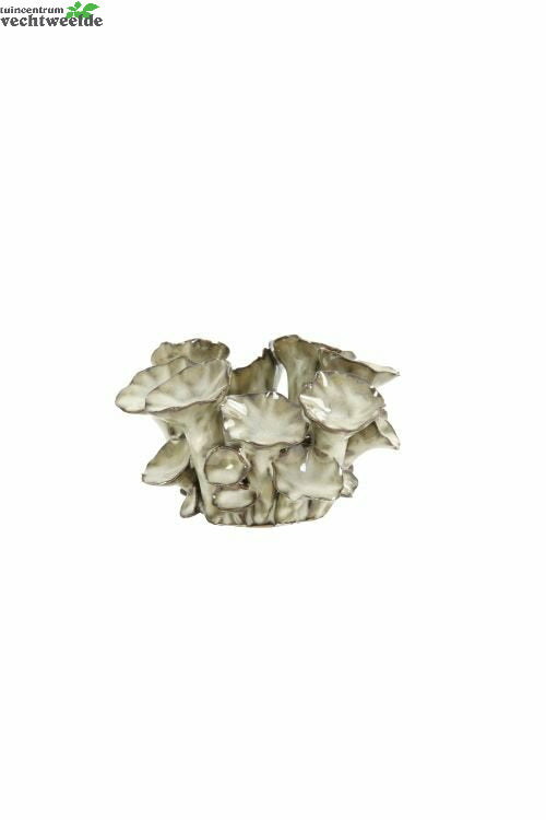  Theelichthdr Krmk D12h8.5cm L.bruin