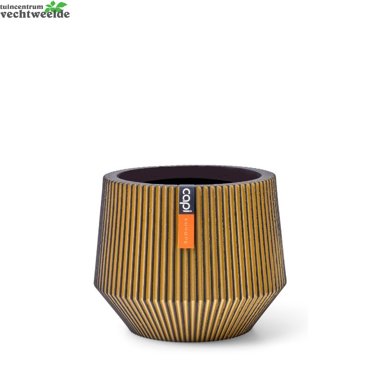  Vaas Cilinder Geo Groove D25h20 Zwt