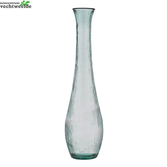  Vaas Dix D25h99cm Transparant