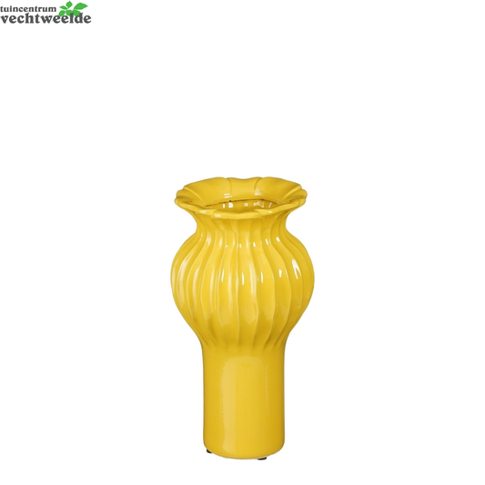  Vaas Felipe D16h30cm Geel