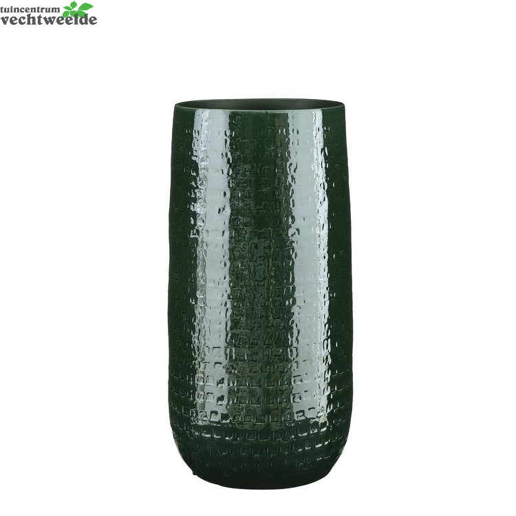  Vaas Floyd D25h50cm Groen