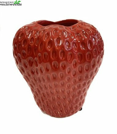  Vaas Keramiek L13b13h12cm Rood