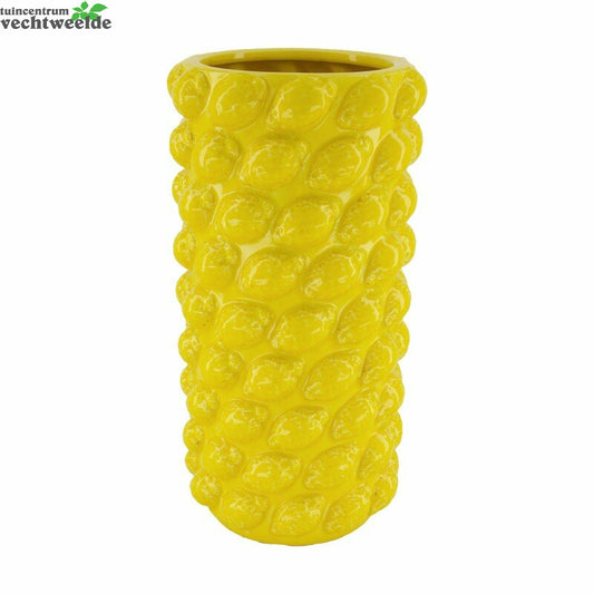  Vaas Keramiek L18b18h36cm Geel
