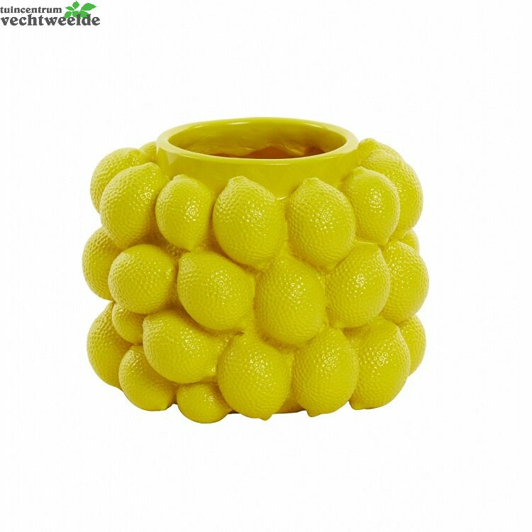 Vaas Lemon D24.5h18cm Geel