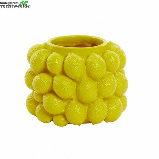  Vaas Lemon D24.5h18cm Geel