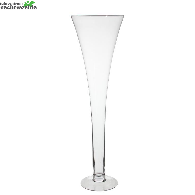  Vaas Martini D23 H80cm Transparant