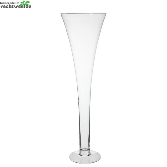  Vaas Martini D23 H80cm Transparant