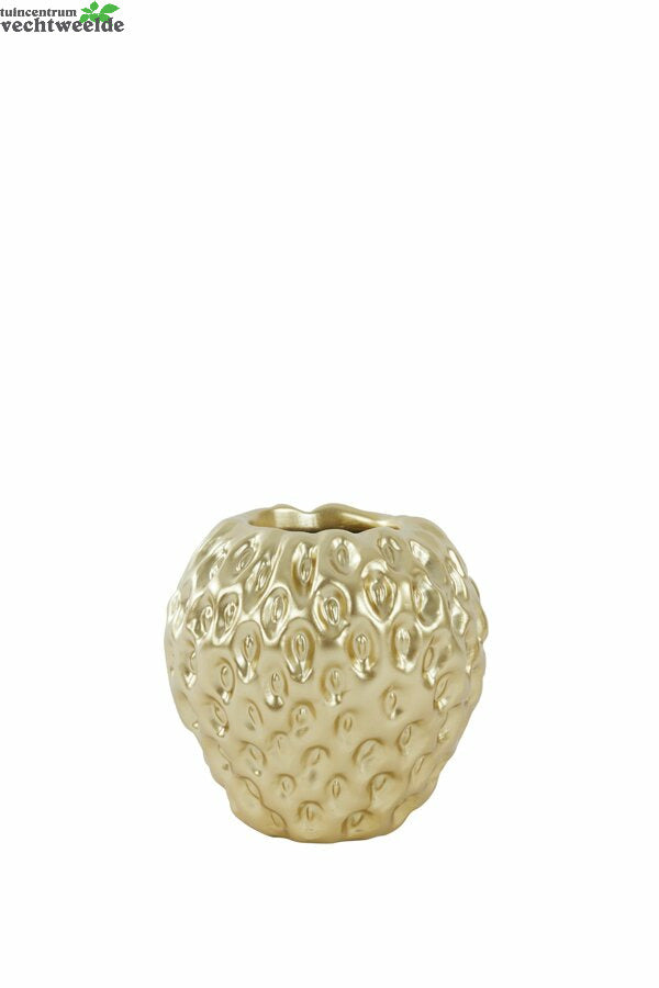  Vaas Strawberry L15b14.5h14.5 Goud