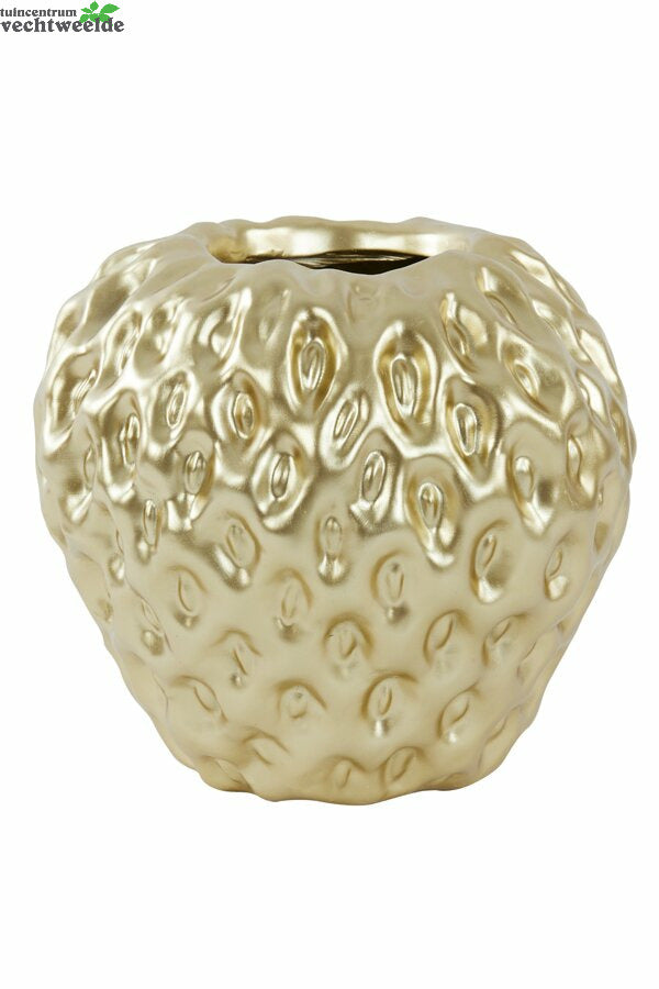  Vaas Strawberry L35b34h33cm Goud