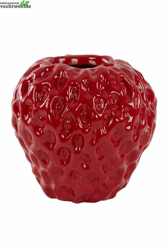  Vaas Strawberry L35b34h33cm Rood
