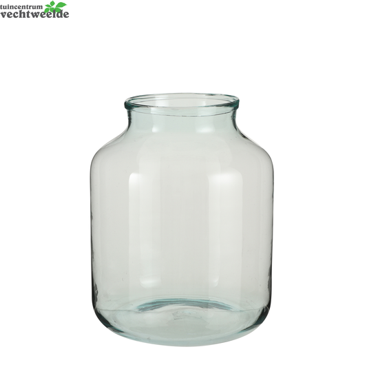  Vaas Vienne D29 H42cm Transparant