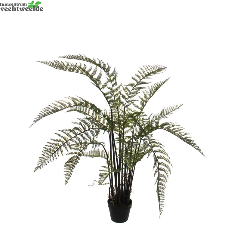  Varen In Pot D46h152cm Groen