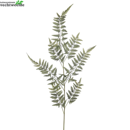 Varenblad Tak H160cm Groen (Zijde-tak)