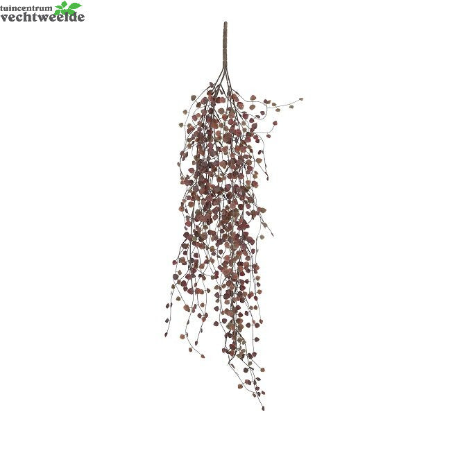  Vine Hang L80 B15 H4cm Bordeaux (Zijde-plant)