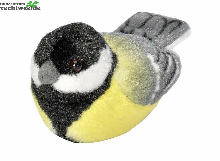  Vogel Met Geluid - Koolmees