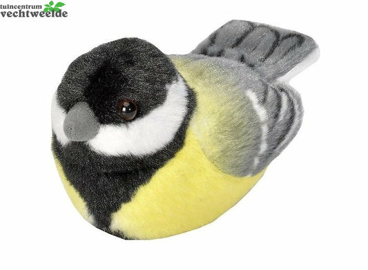  Vogel Met Geluid - Koolmees