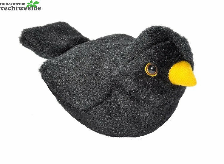 Vogel Met Geluid - Merel