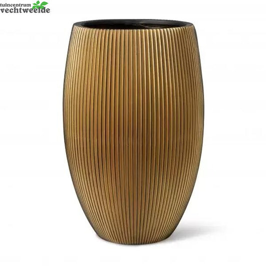  Vs Elegant Delu E Groove D56h84 Zwt