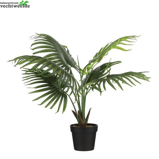  Waaierpalm In Pot D80 H80cm Groen (Zijde-plant)