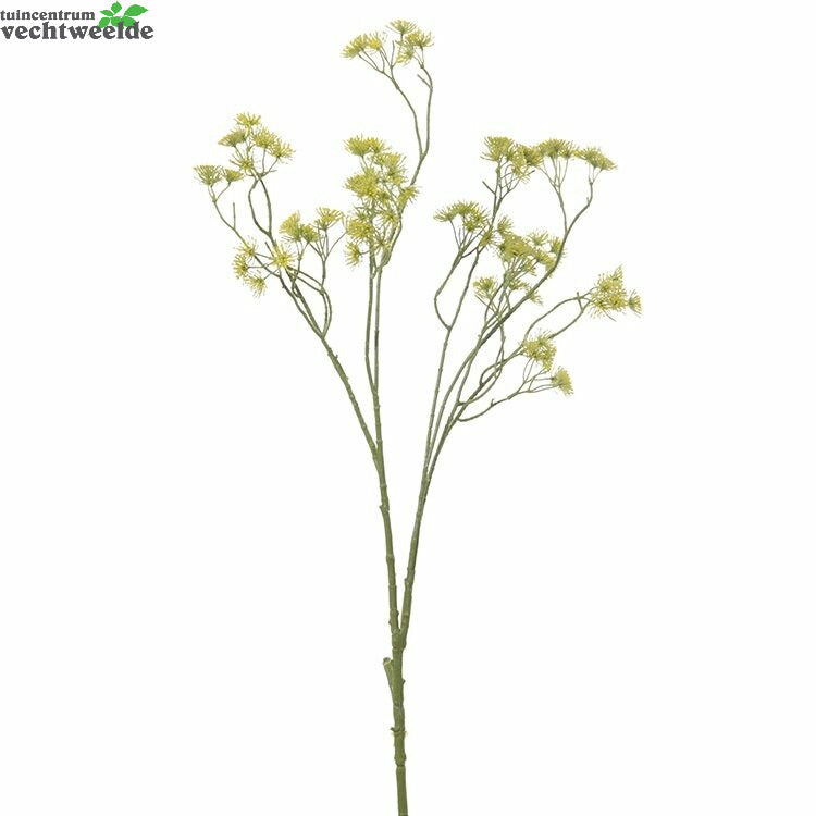  Wildworteltak L115cm Geel