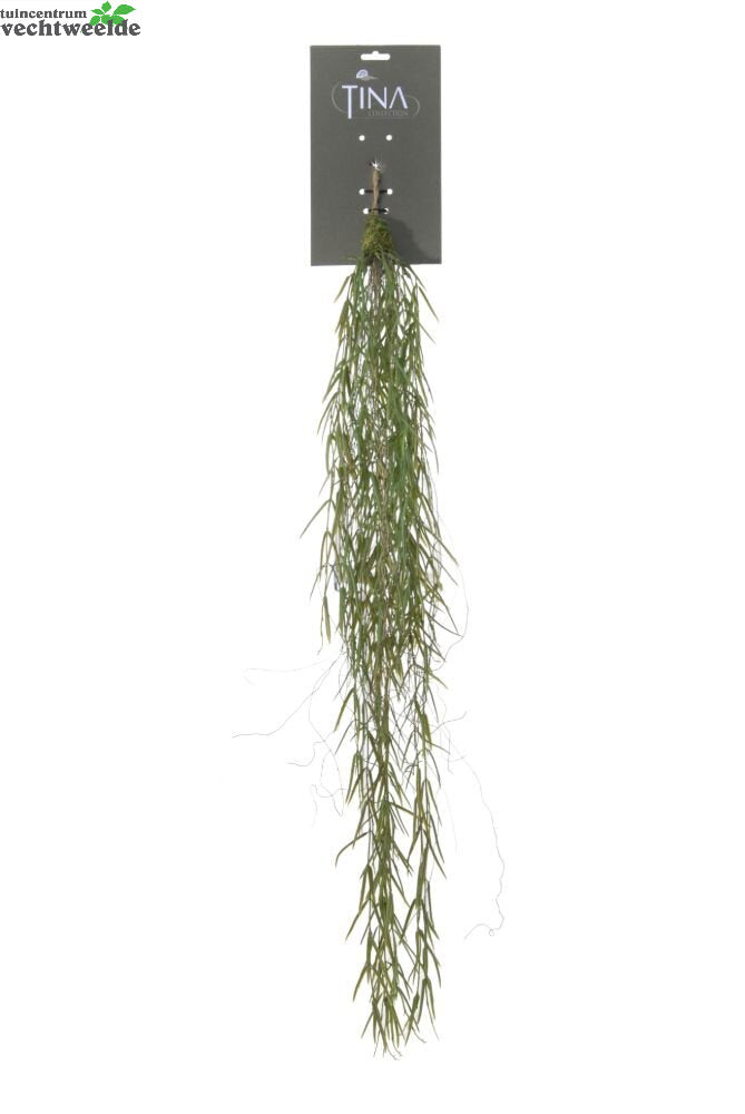  Wilg Hanger L95cm Groen Hanger (Zijde-plant)