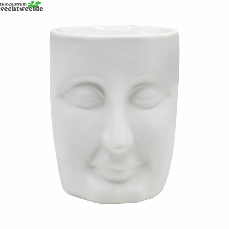  Wxbrndr Face Wit L13b14cm