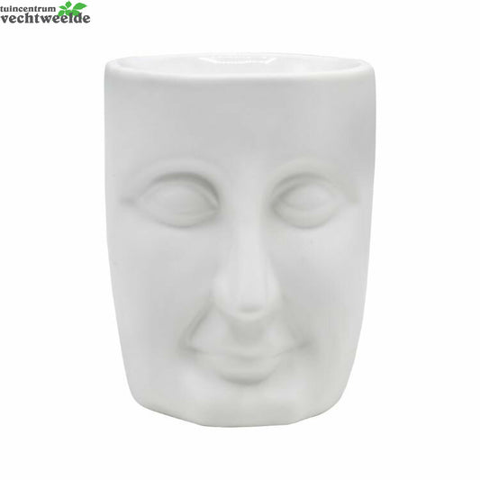  Wxbrndr Face Wit L13b14cm